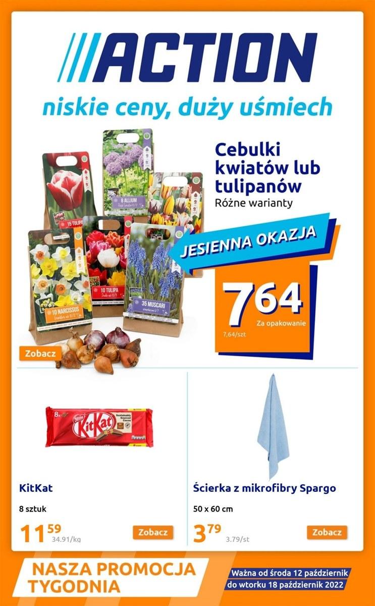 Gazetka promocyjna ACTION str. 1